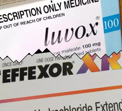 Luvox vs Effexor